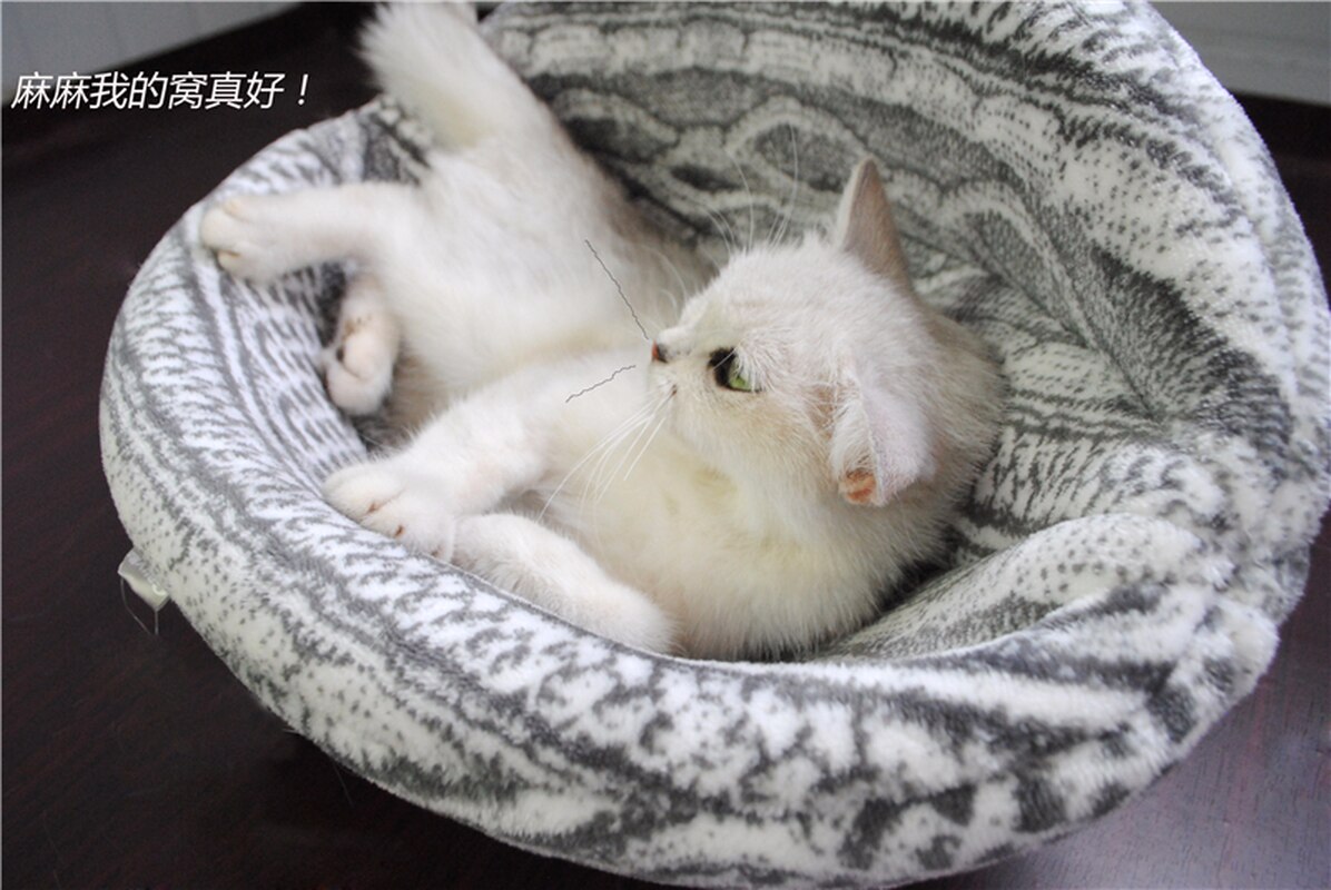 Cat Beds Spherical Cat House with Round Opening, Your Cat Will Love It! Cat Playhouse Round Beds