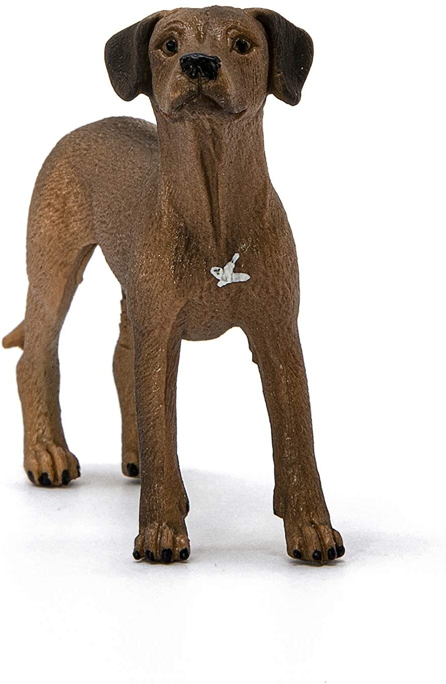 Rhodesian Ridgeback