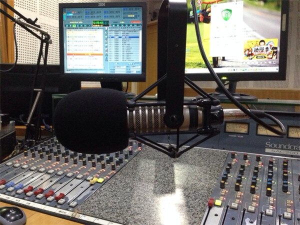 Large Microphone Foam Windshield Cover for Transistor Condenser Microphone For Recorder Windscreen 50mm Diameter