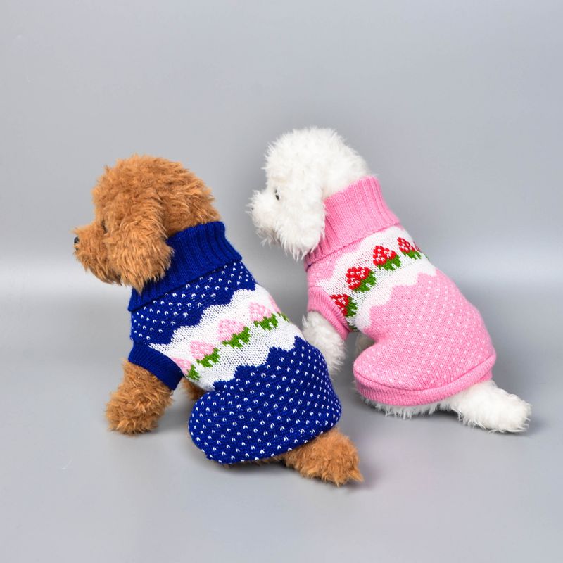Kleine hond aardbeienkleding chihuahua hondentrui puppy warme jas goedkope kleding huisdier honden katten breigoed winterkostuum voor gatos