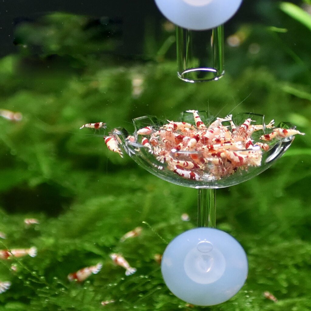 Räkor fisk matskål suger bricka behållare för akvarie akvarium klar behållare fisk akvarier matare miljövänligt-fre