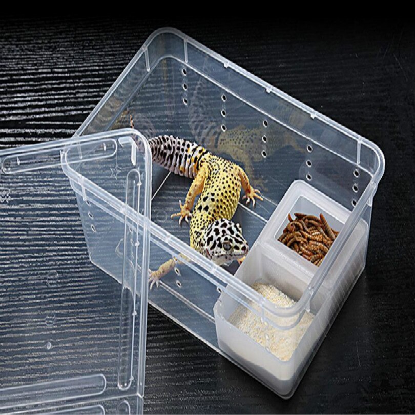 pet Feeding box Spider house frog farm insect turtles snake boxes reptiles workshop taller With air hole white black