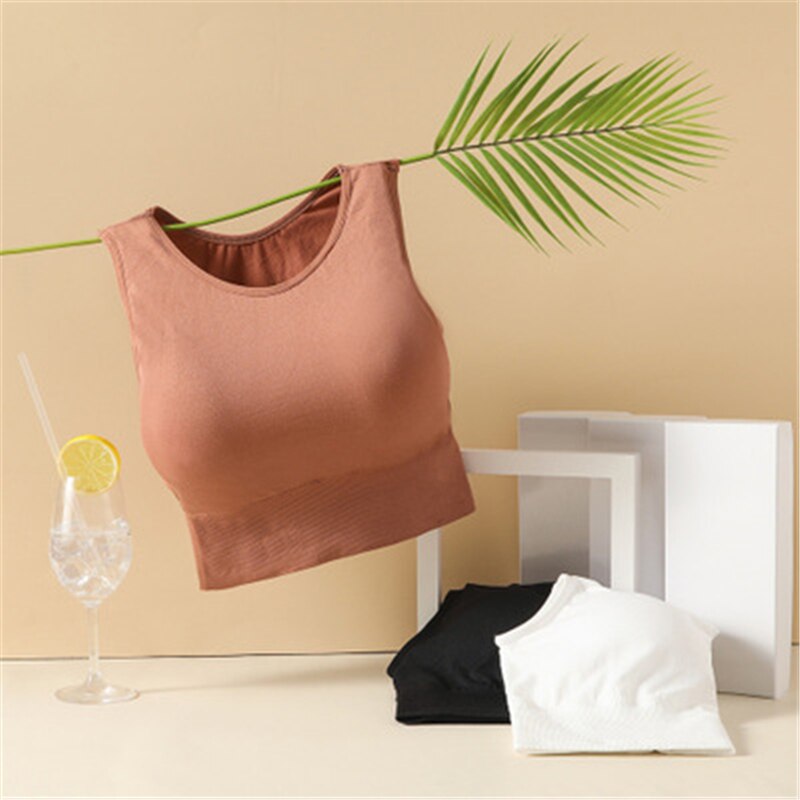 Chaleco de gimnasio para mujer, ropa interior deportiva sólida, transpirable, para correr, ropa activa, Tops de Yoga, sujetadores de entrenamiento elástico de talla libre para Fitness