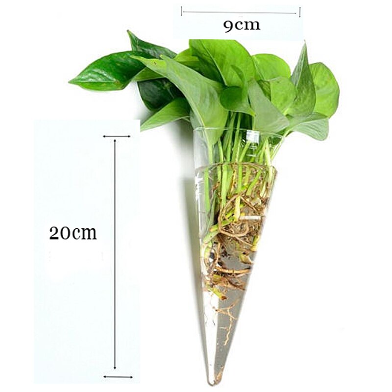 CSS Cone Hanging Glass Flower Planter Vase Terrarium Container Home Garden Decor