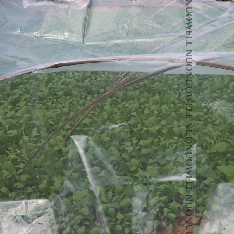 Film plastique agricole PE épais de 0.14mm, protection des cultures agricoles et des légumes de jardin, largeur du Film 2m ~ 12m