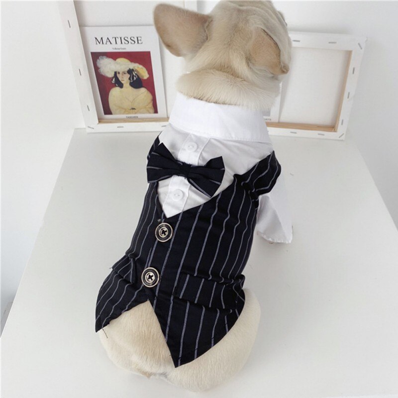 Costume de mariage pour chien et chat, chemise formelle avec nœud papillon, tenue de printemps et d'été pour animal de compagnie