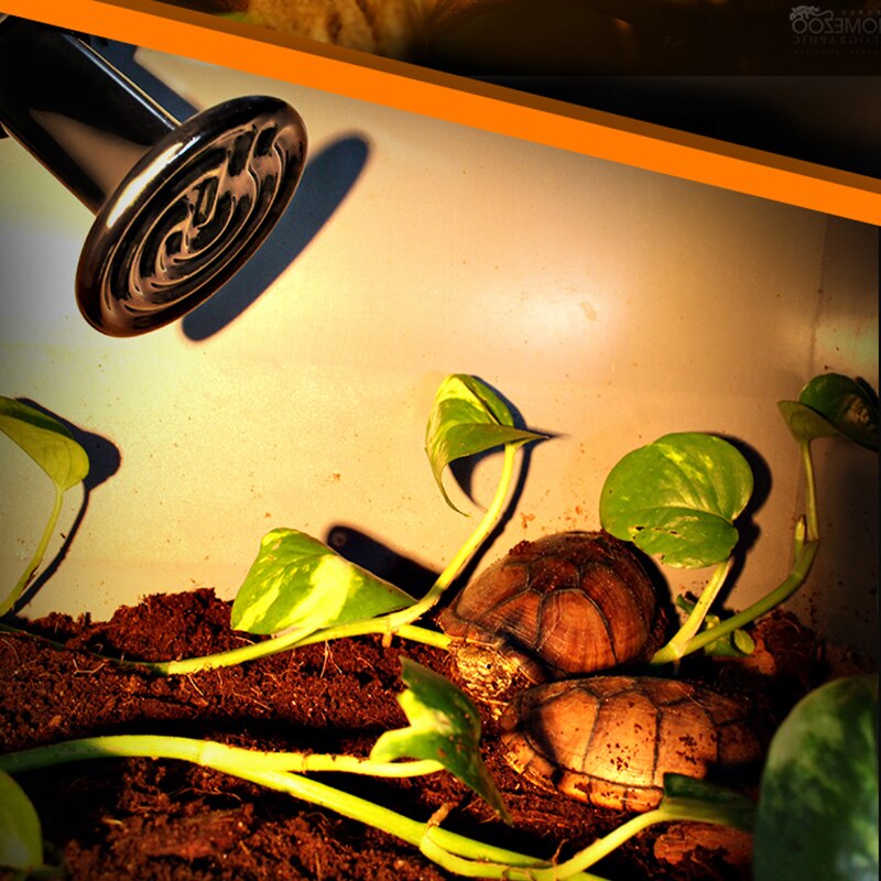 25W/50W/75W/100W/150W/200W Ceramic Pet Heat Light Lamp Snake Tortoises Lizard Hedgehog Reptile Pet Heater Brooder 220V-240V