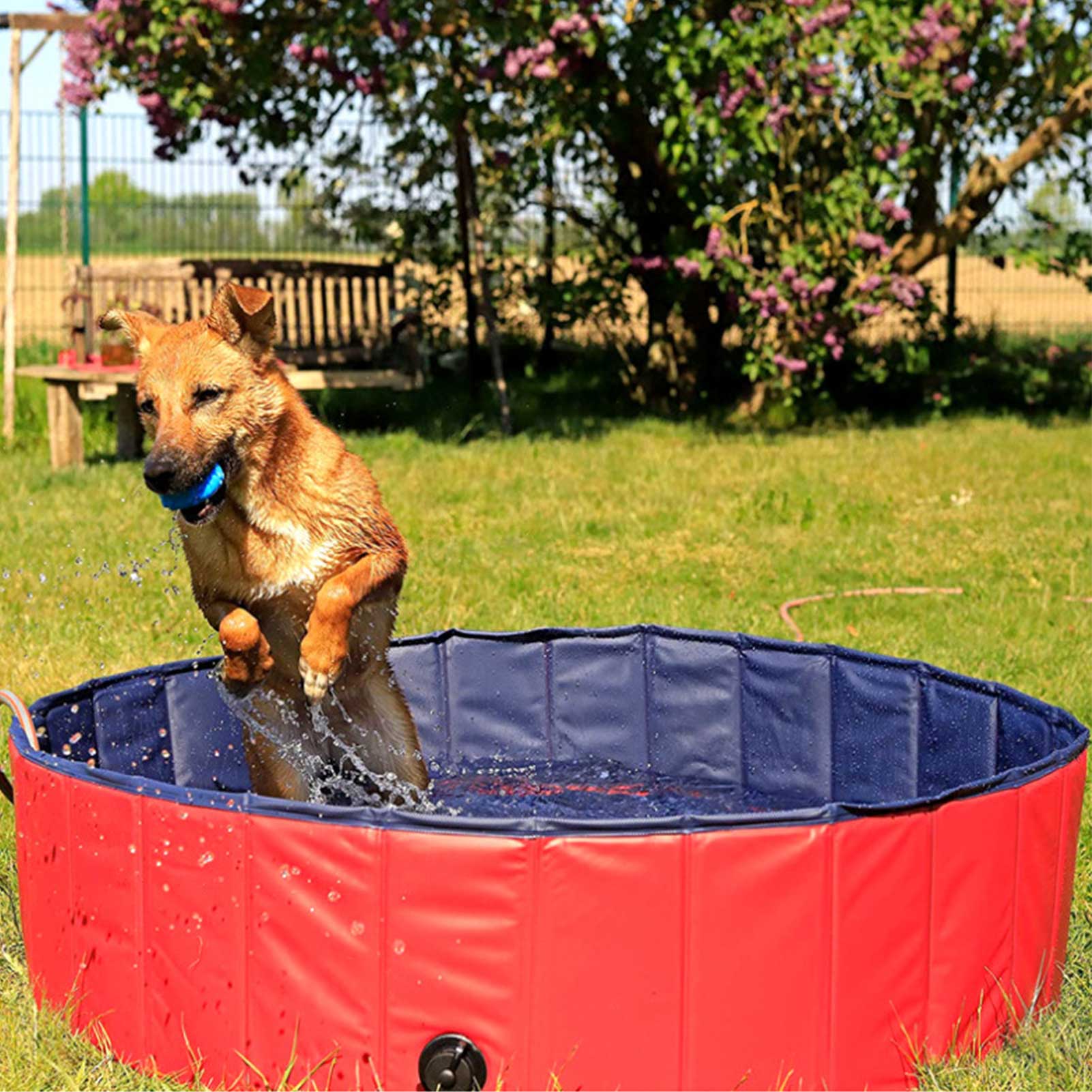Dog Pool Foldable Dog Swimming Pool Pet Bath Swimming Tub Bathtub Pet Swimming Pool Collapsible Bathing Pool For Dogs & Cats