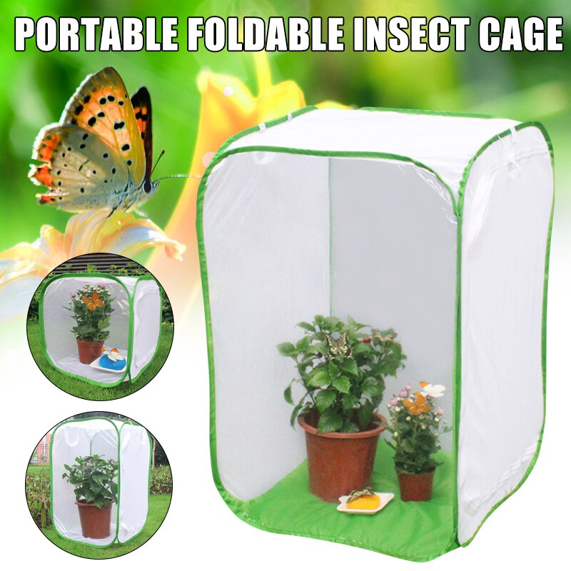 Insect Butterfly Kit Original Habitat Life Science Education Butterfly Kit Foldable Insect Cage Butterfly Garden NOV99
