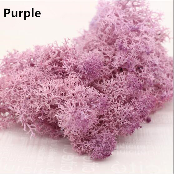 Fausse mousse artificielle multicolore, 20g, fausse plante, accessoire décoratif pour la maison, le salon et le jardin: Purple