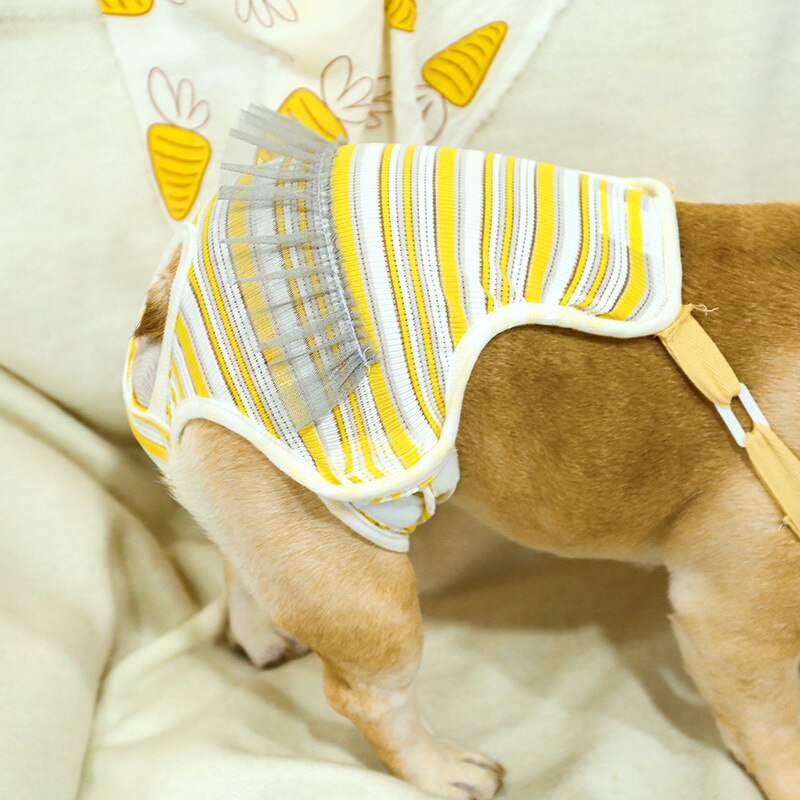 Pantalones cortos reutilizables para mascotas, braguitas sanitarias fisiológicas lavables para mujer, ropa interior para menstruación, calzoncillos para gato y perro