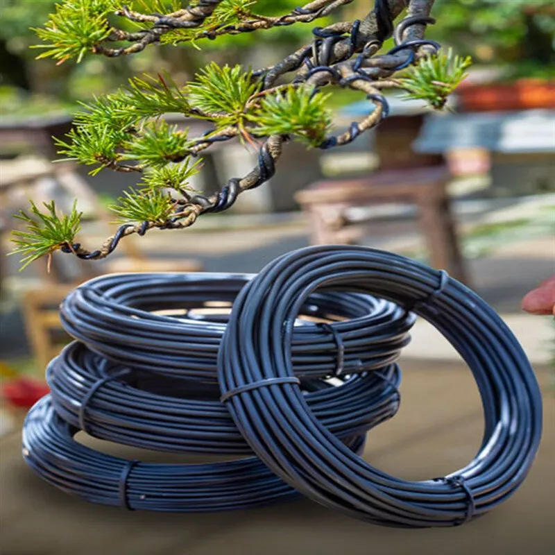 0.8mm 1.0mm 2.0mm 3.0mm 3.5mmx5Meter Black Bonsai Wire Anodized Aluminum Bonsai Training Wire Garden DIY Tool for Plant Shapes