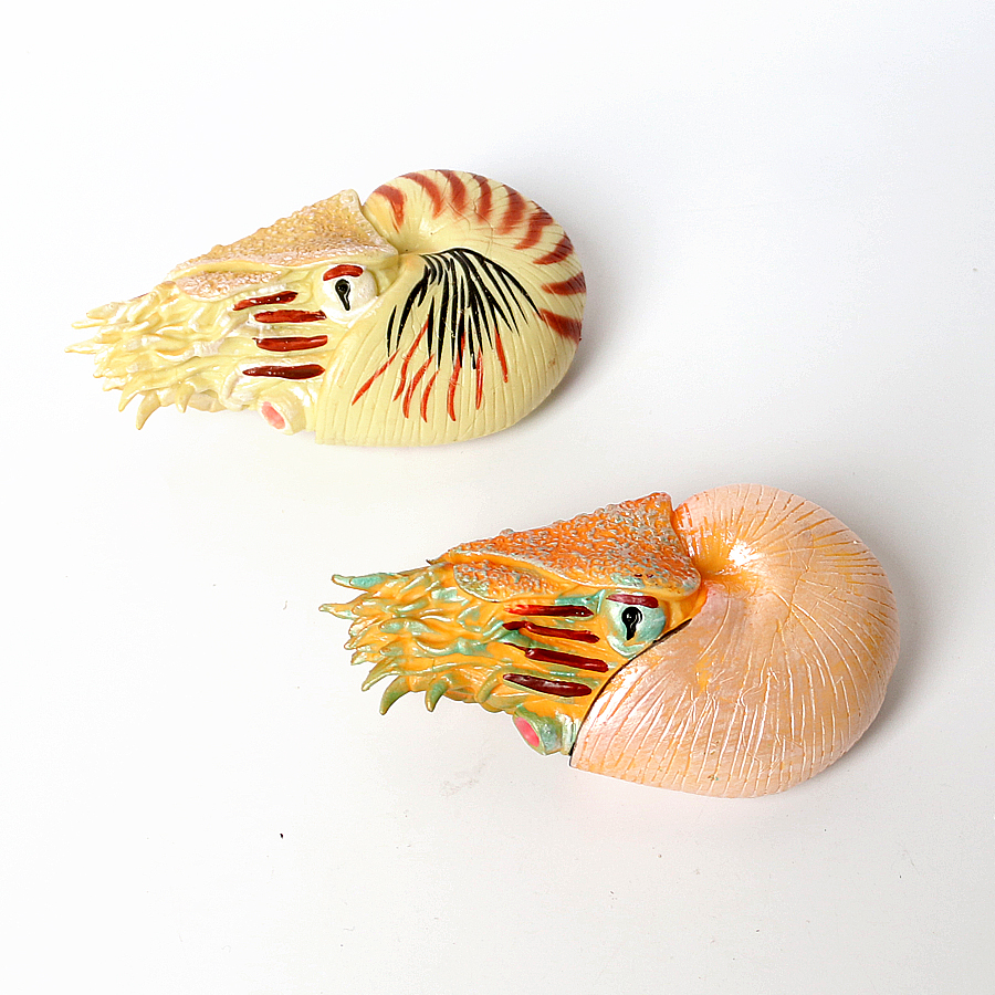 Creatura marina prehistórica de plástico, Animal del océano Cambriano antiguo, Nautilus,Trelobita,Baculitis,Opabinia,Pikaia, figuritas marinas, juguetes