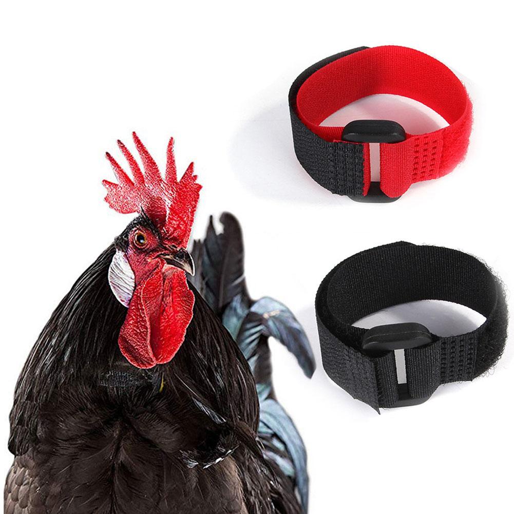 2 Stuks Kip Kraag Geen-Kraai Haan Kraag Fowl Nekband Accessoires Voor Pluimvee Noise Gratis Anti-Haak nekband