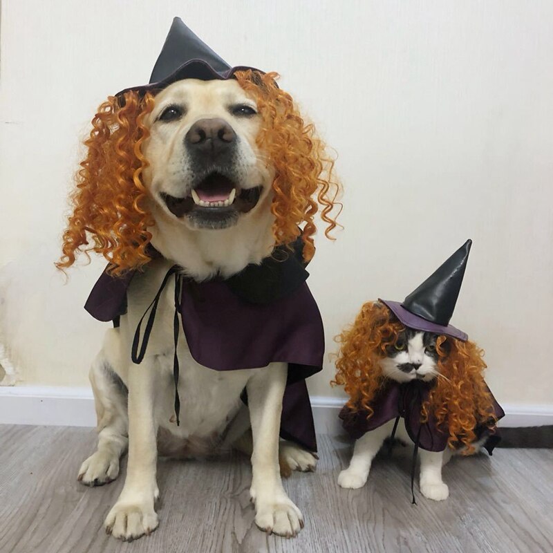 Dog halloween clothes