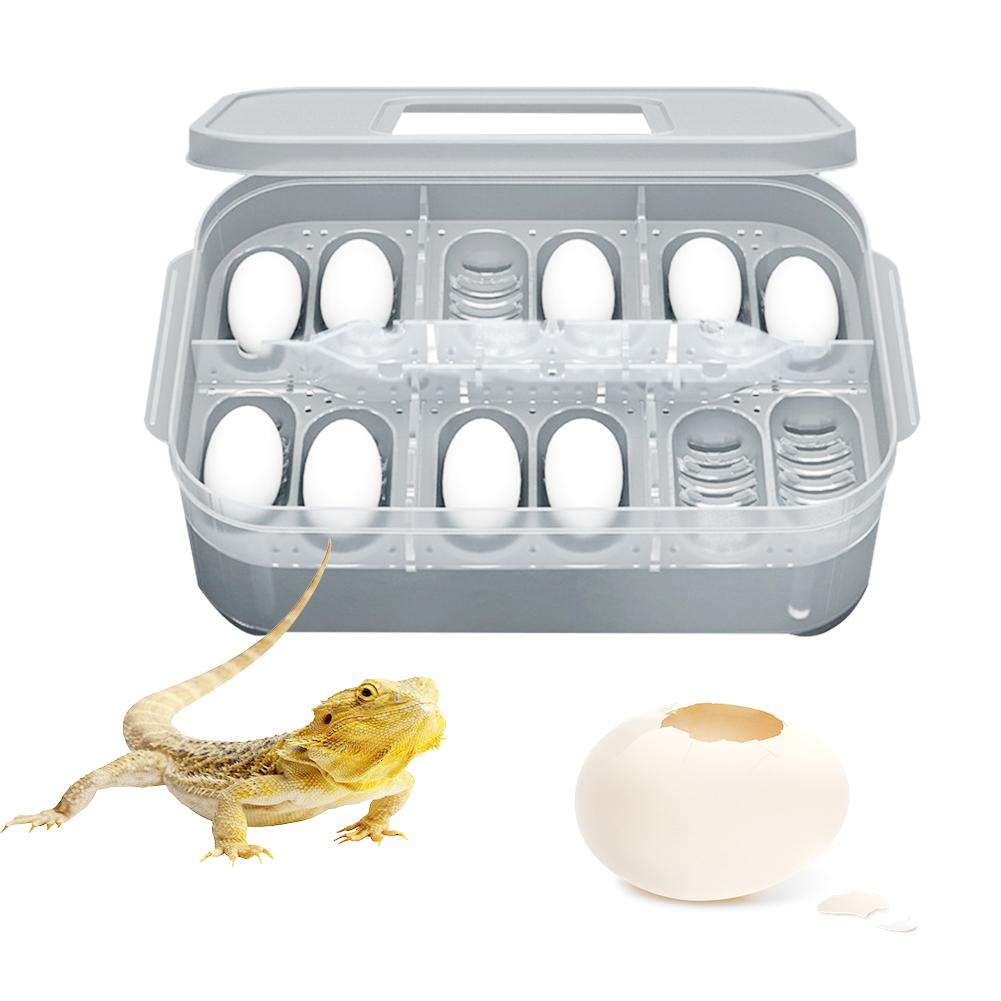 Incubateur pour élever des reptiles, incubateur avancé avec plateau à œufs, petit lézard grimpant