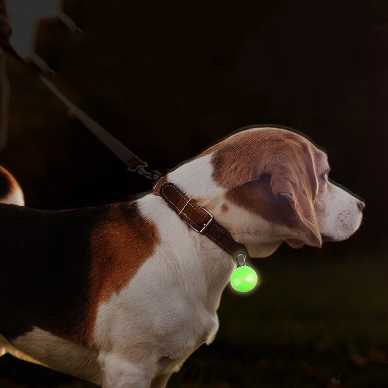 Pet Dog Tag Hanger Veiligheid Led Zaklamp Kraag Glow Kraag Puppy Honden Kat Gids Lichtgevende Identificeren Licht Hanger Pet Charm