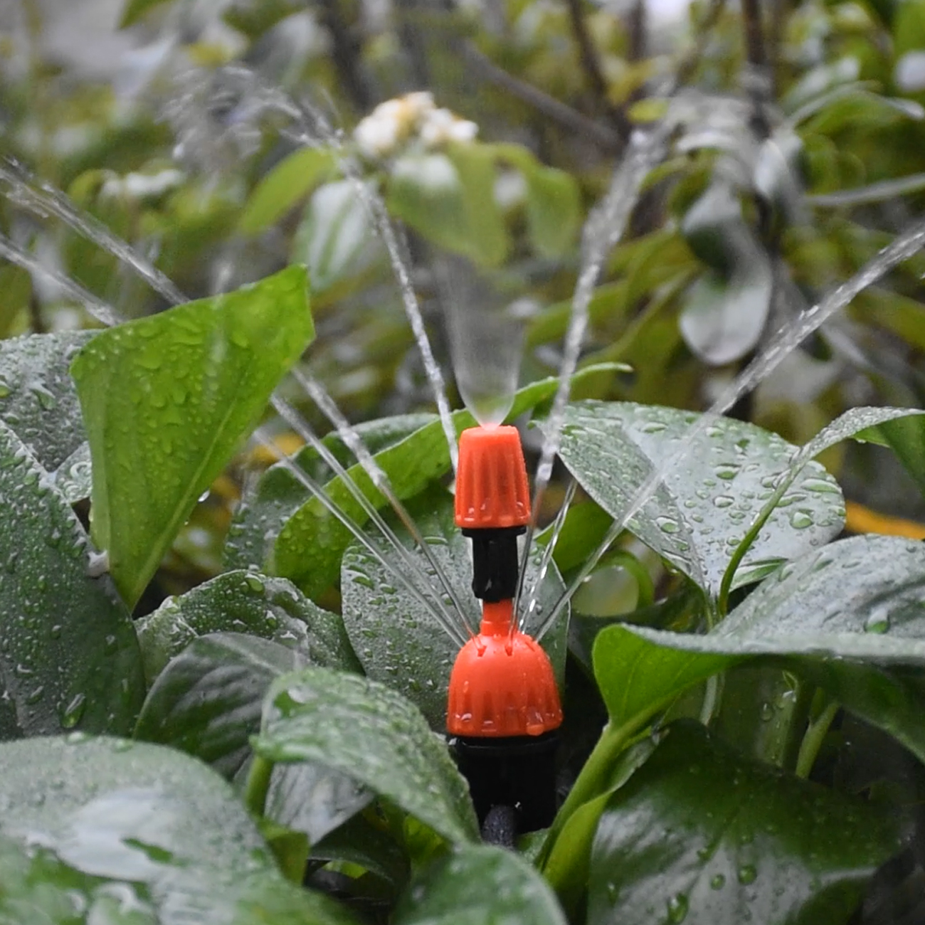 KESLA Tuin Micro Druppelirrigatiesysteem Kit 1/4 ''Dripper Sprinkler Automatische Watering Kit voor Pot Bonsai Balkon Kas
