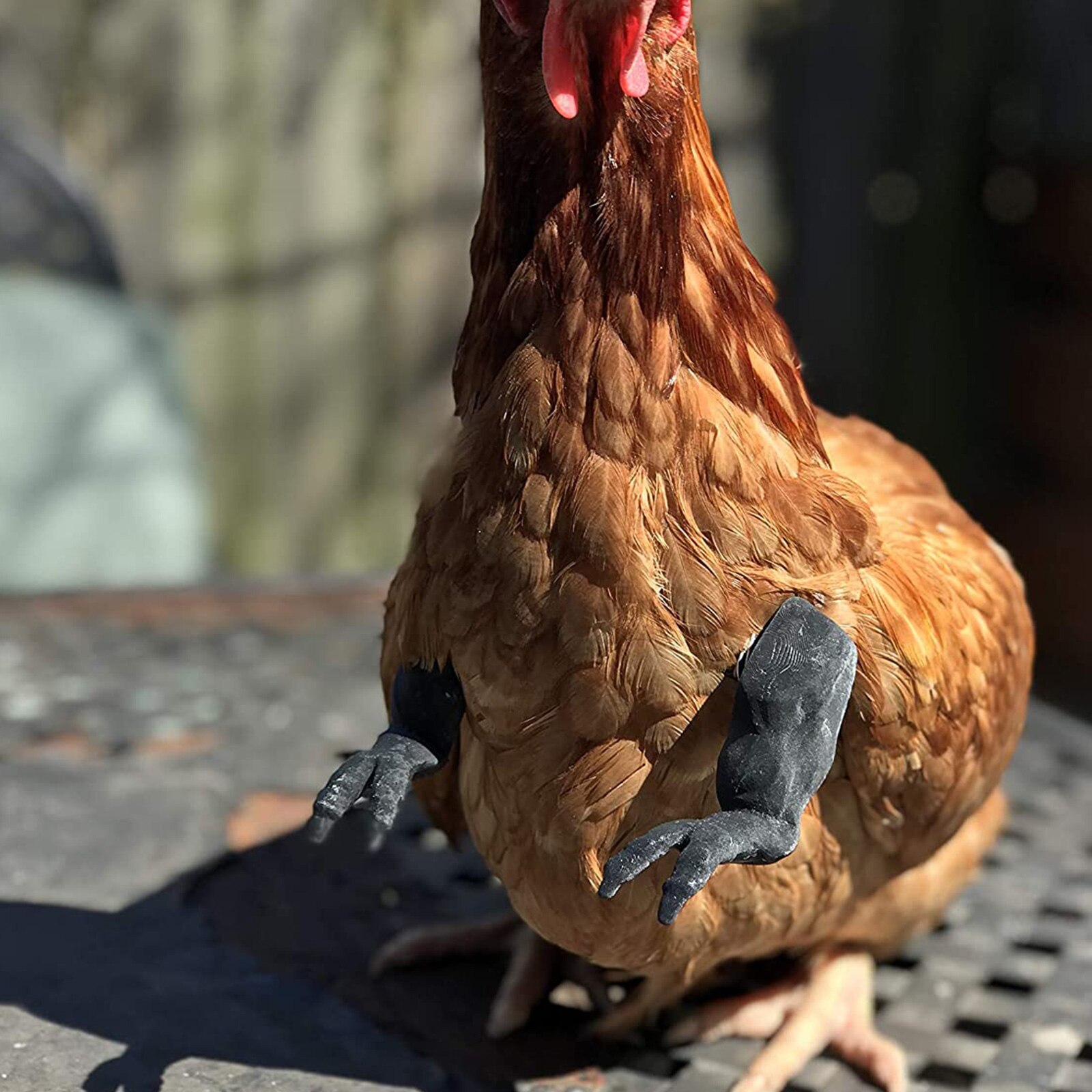 Bras de poulet de couleur unie, bras artificiel, outils de décoration pour coq nu/noir