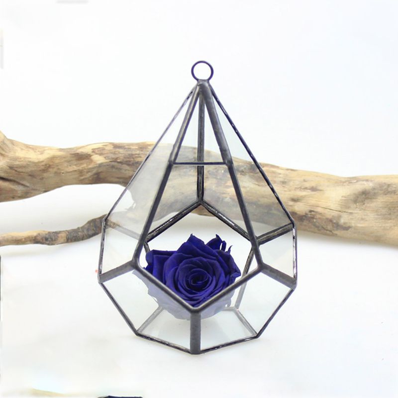 Hanging Glass Terrarium - Diamond Geometric Polyhedron - Wall Mounted Air Plant Holder