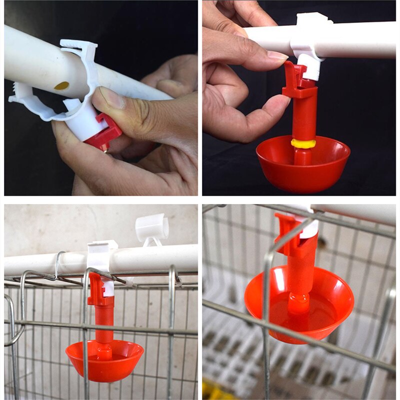Automatic Chicken red Cup Waterer Bowl Kit Farm Coop Poultry Waterer Drinking Feeder Tool for Chicks Duck Goose Turkey Quail Acc