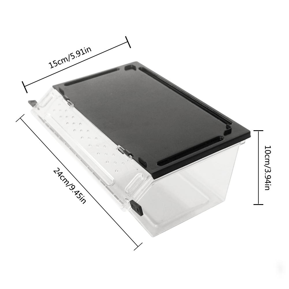 Di plastica Rettile Serpente ragno Lucertola Scorpione Millepiedi Cornuto Rana geco scarafaggio Insetto Allevamento Scatola Pendenza non-scontrino design