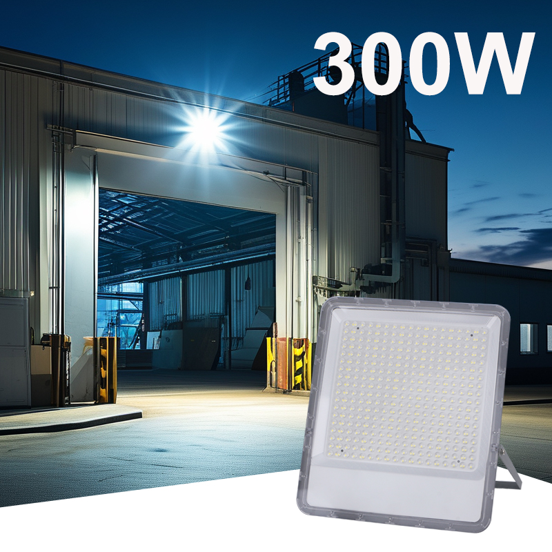 Proiettore a portato per luce di inondazione Proiettore Illuminazione esterna 6500k Impermeabile IP66 per parete box auto Palestra Strada 220V 10w 20w 30w 50w 100w