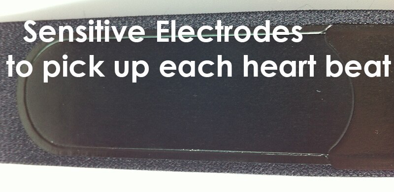 Chest Belt Strap Replacement for Garmin Wahoo Polar Runtastic Wireless ANT+ Bluetooth Smart 4.0 5.3K Heart Rate Monitor Watch