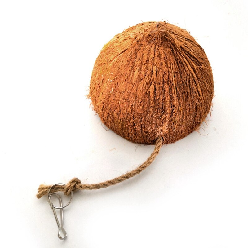 Pet Cage Shake Coconut Shell Parrot Coconut Shell Hanging Basket Swing Bird Toy Parrot Coconut Shell Toy Bed Rest Place