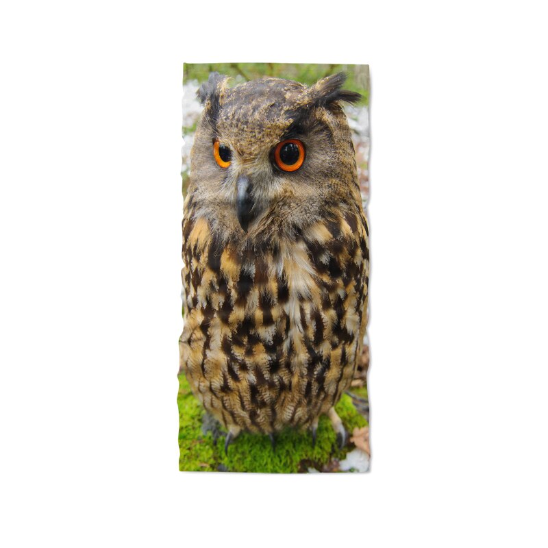 Magic Scarf Animal Headwear Owl Printed Headbands Bandana Cap Scarf Tube Mask Neck Gaiter Headwrap Balaclava Sweatband: Style2
