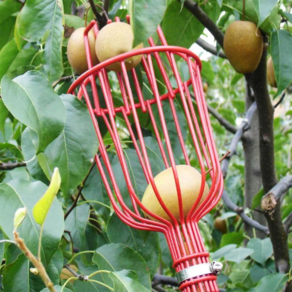 Garden Tools Metal Fruit Picker Gardening Fruits Collection Picking Head Tool Fruit Catcher Device Greenhouse Fruit Picker