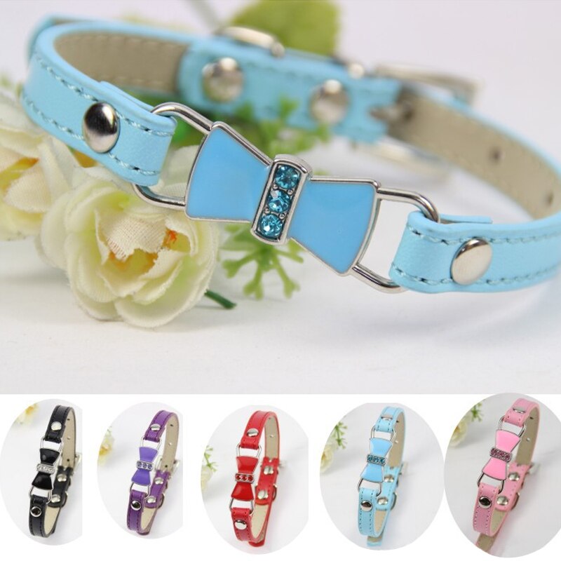 Collier en cuir pour chien, accessoire pour animaux de compagnie, pour petits, moyens et grands chiens, chats, marche en plein air, fournitures pour animaux de compagnie