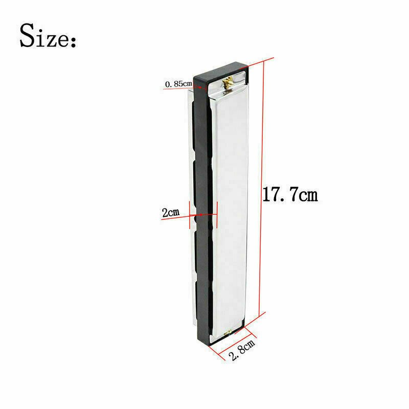Professionele 24 Hole Harmonica Key C Mondharmonica Hobby Training Voor Beginners Muziekinstrument Met Clear Opbergdoos