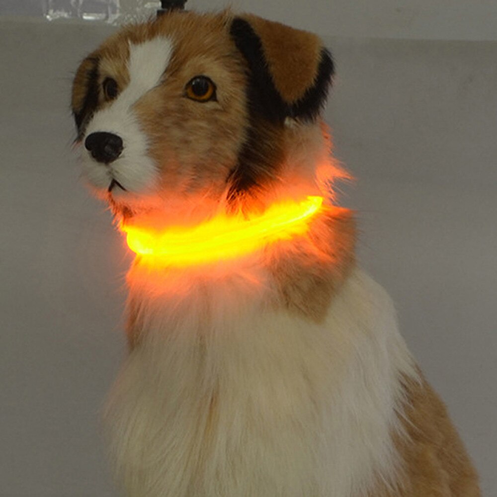 Rechargeable Usb Waterproof Pet Dog Collar Mascotas Perros Accesorios Collier Chien Ledlight Band Safety Pet Dog Collar