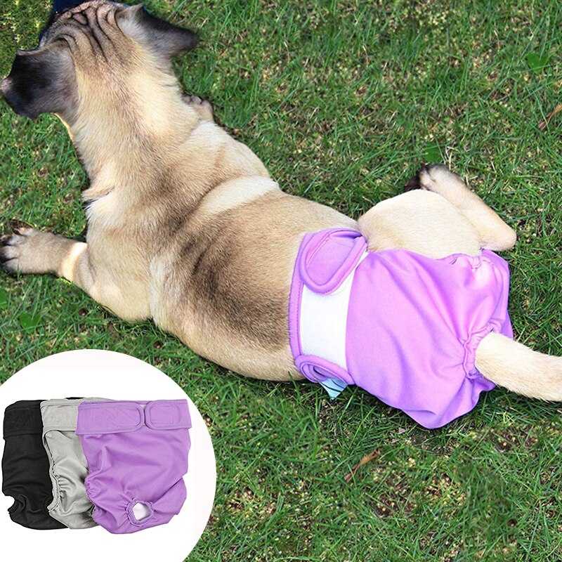 Couches pour chiens mâles et femelles, sous-vêtements menstruels, culottes de contraction réutilisables, culottes hygiéniques pour petits et grands chiens