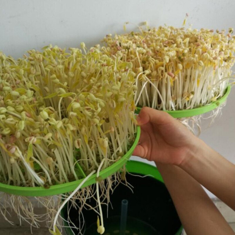 Intelligens bønnespirer maskine smarte planteskoler potter frøplanteplanter plast termostat automatisk bønnespiremaskine