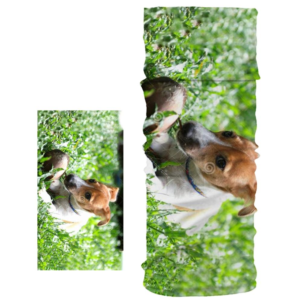 Neue Staubdicht Schal Nette Hund Haustier aufbringen unisex Magie Rohr Schal Weichen, Elastischen Material Joggen Sport Fitness Stirnband Armbinde: 14