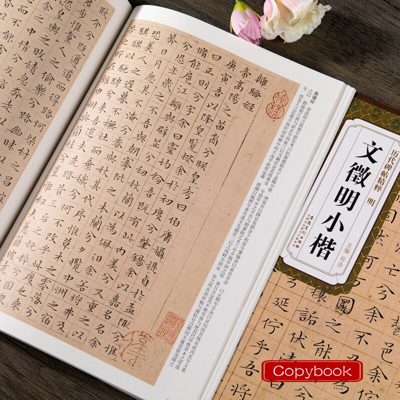 Cahier de calligraphie chinoise, petit cahier régulier, cahier à friction, écriture sur pierre, pratique de la calligraphie