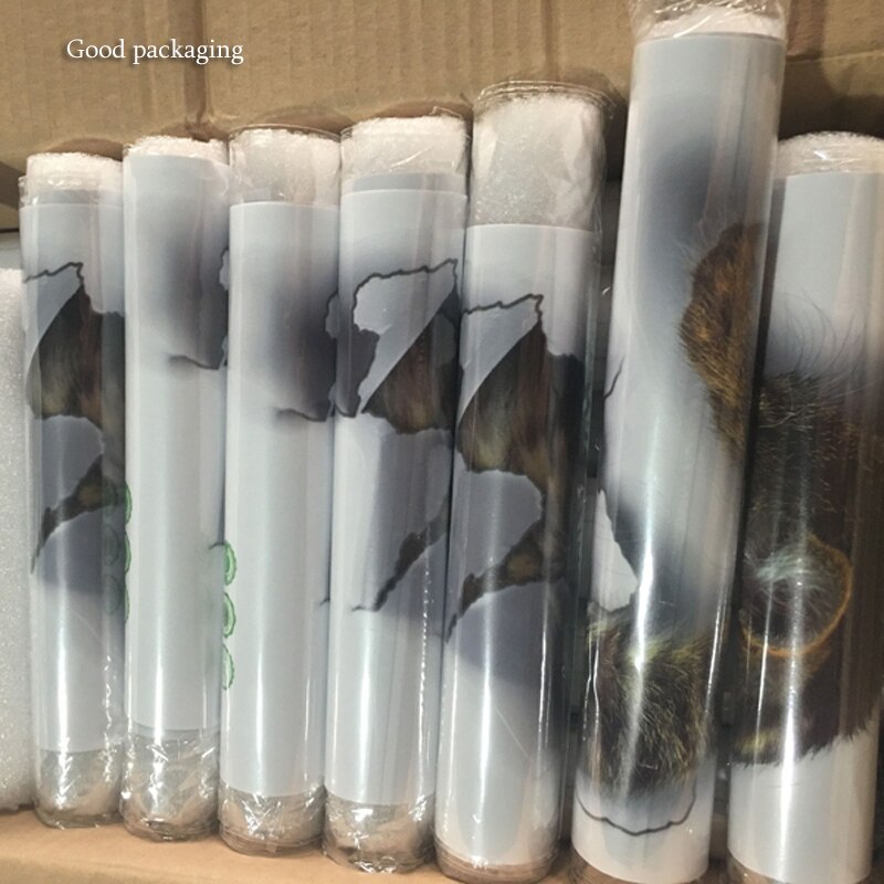 3D koty psy chomika naklejki ścienne łazienka dla Dom dekoracje dla dzieci pokój Słodki zwierzę winylowa tablica naścienna plakat artystyczny otwór widok naklejki toaletowe