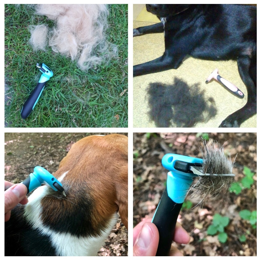 Peigne de toilettage pour chien et chat, brosse à poils amovible en acier inoxydable, accessoire de toilettage pour animaux de compagnie