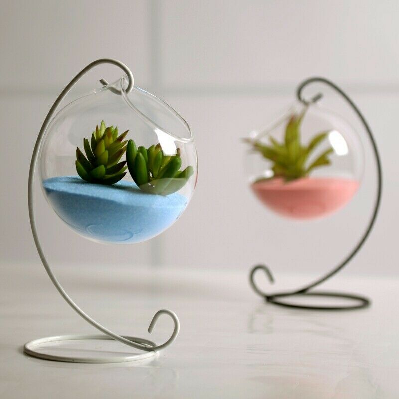 Hjem hage klart glass blomst hengende plante vase planter terrarium container