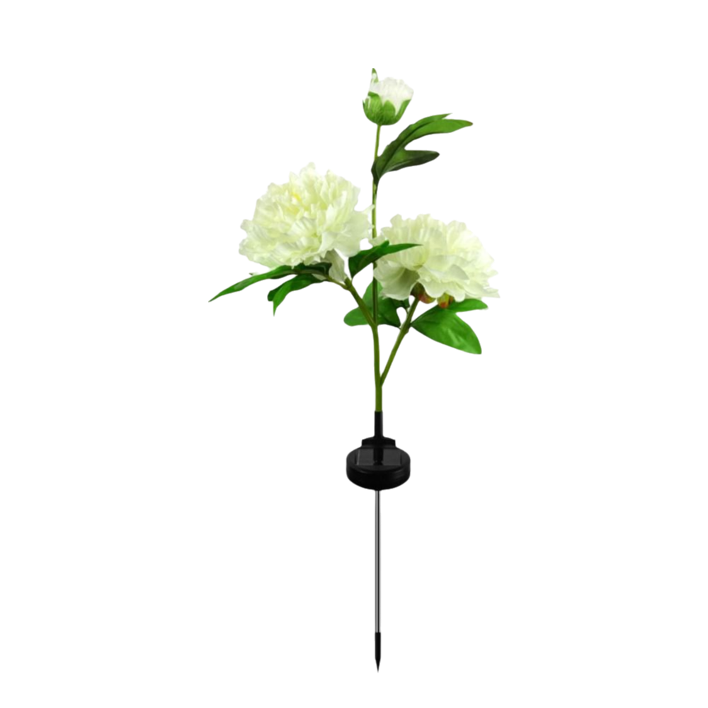 Op zonne-energie werkende tuinverlichting op zonne-energie Simulatie Bloem Pioenlamp Zonne-padverlichting Automatisch aan/uit LED-grondstekkerlicht: ROOS