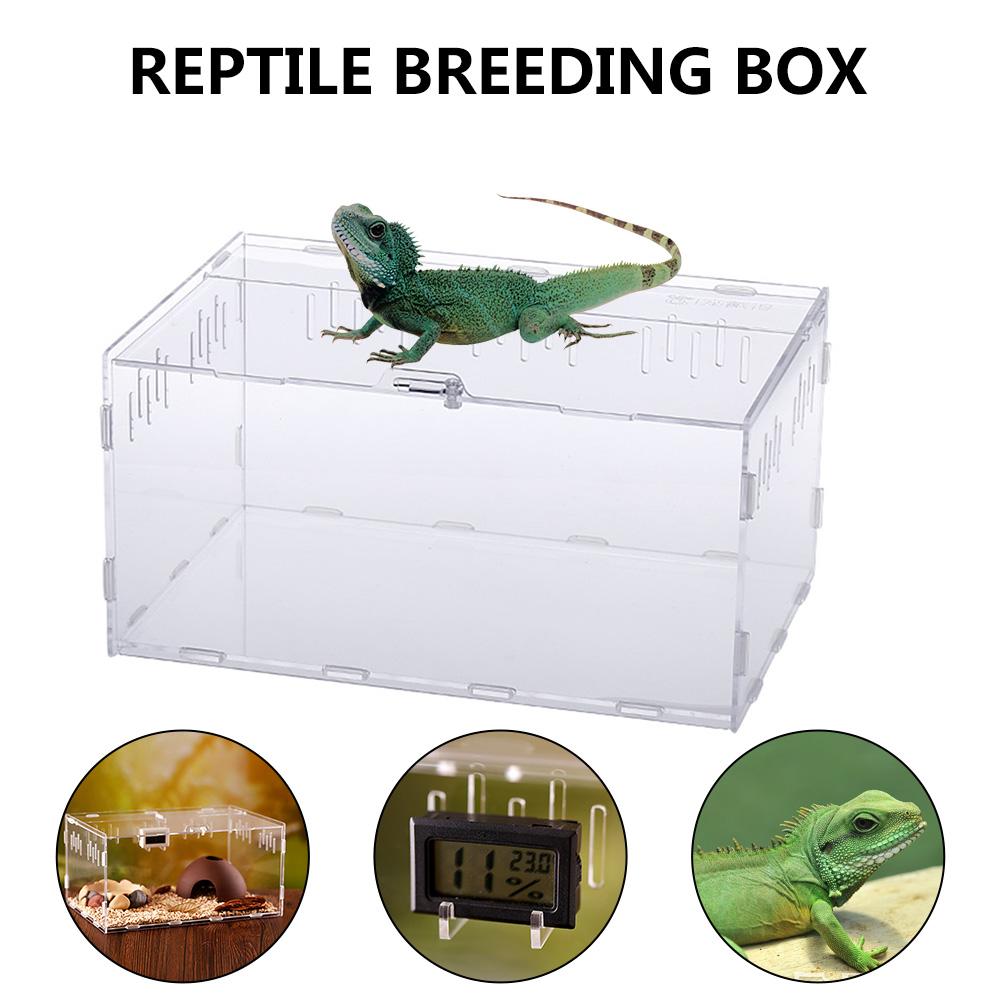 Avlsboks krypdyr fôringsboks akryl terrarium edderkopp til klatring kjæledyr terrarium slange edderkopp øgle skorpion tusenbein