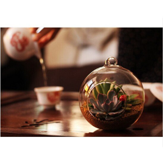 DIY Round Hanging Glass Vase Flower Pot Transparent Glass vase Hydroponic Container wedding Table Wall Garden Decoration