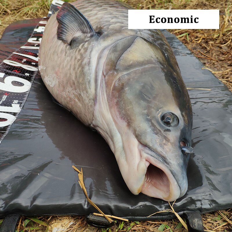 Estera de pesca de carpa, colchoneta de aterrizaje plegable acolchada para el cuidado de los peces, aparejos de pesca de protección