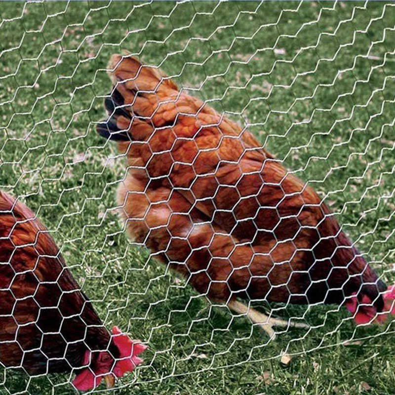 18Meters Galvanized Hexagonal twisted wire mesh fence for cattle sheep pig household breeding chicken duck isolation Farm fence