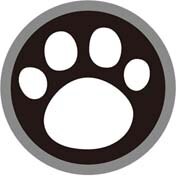 Support de téléphone portable rond et coloré, pivotant et extensible, idéal pour la poche ou le bureau: Modèle 3