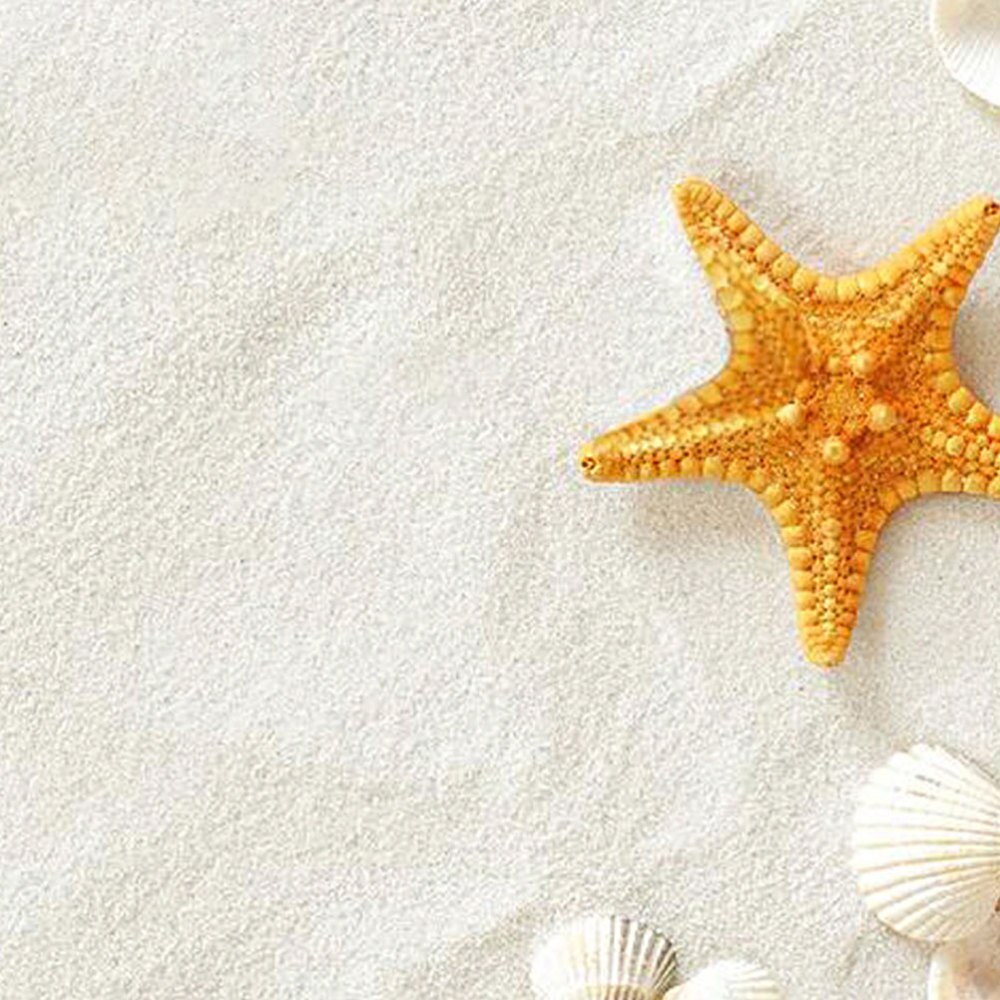 5 pakken wit zand 80g aquariumzand voor aquariumtuin