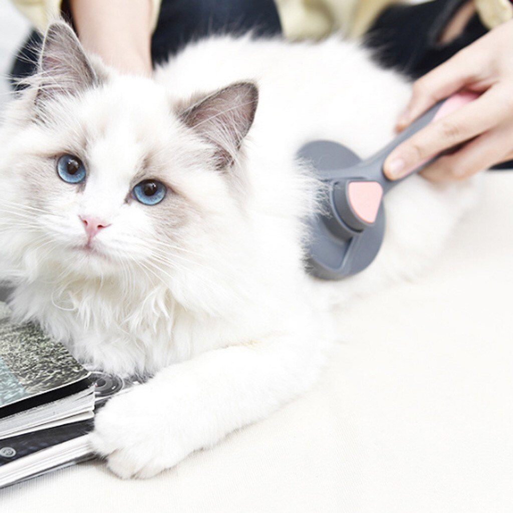 Hond Pet Grooming Handschoen Voor Katten Borstel Kam Bad Kat Schoonmaakproducten Huisdier Handschoen Kat Kammen Dierbenodigdheden # J3s