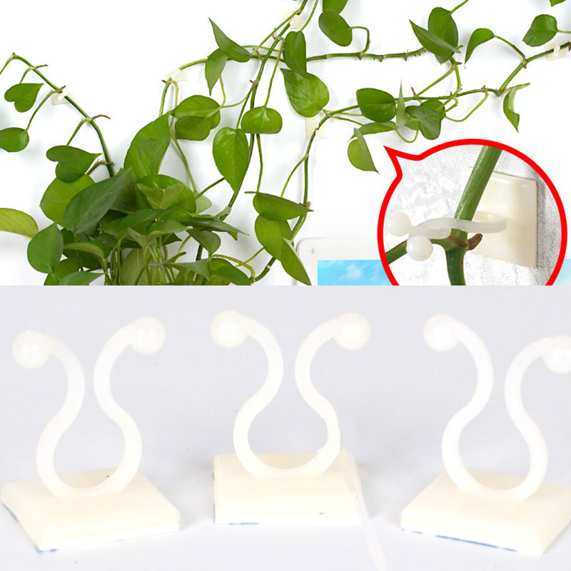 10 stuks onzichtbare wandwijnstokken bevestiging muur klevende haak klimplant fixer huis balkon tuin decoratie houder
